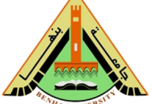 شغل وظائف قيادية بدرجة مدير عام بالجامعة