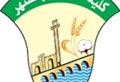 طلب شراء
