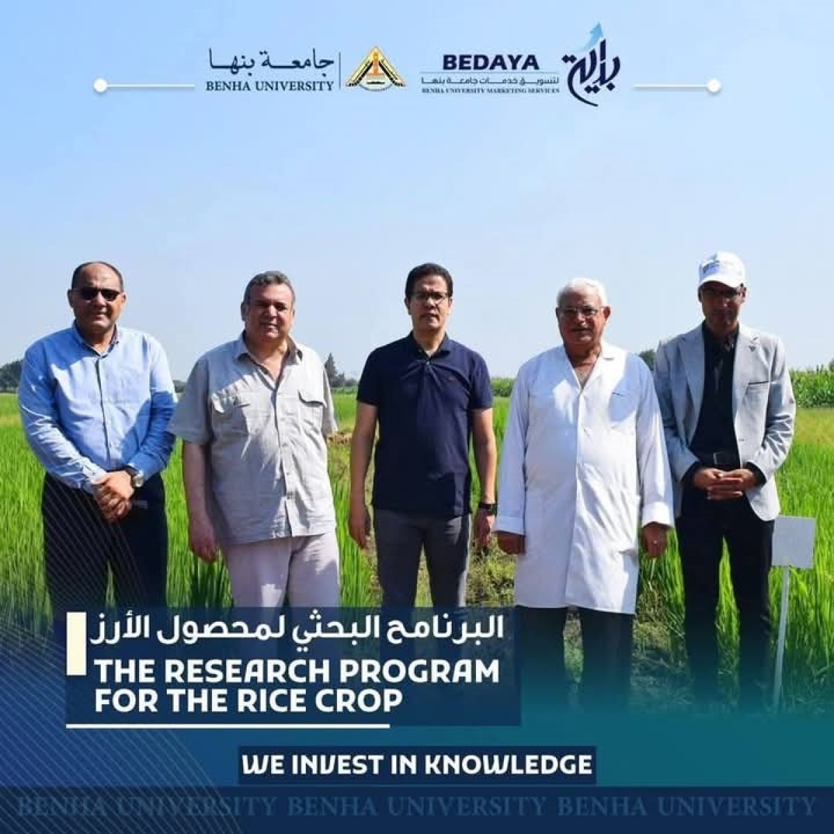 " الجيزاوي": شركة بداية لتسويق خدمات جامعة بنها تقدمت لتسجيل صنفين جديدين للأرز عالى الجودة