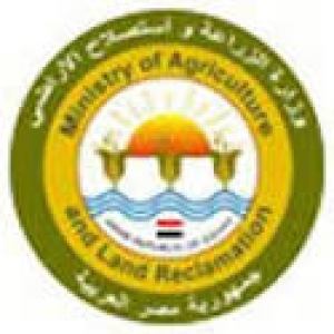الزراعة" تضع خطة لإعادة احياء الانواع النباتية الآخذة فى الانقراض