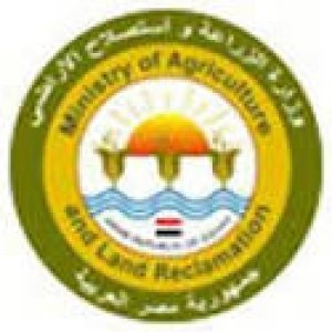 الزراعة" تضع خطة لإعادة احياء الانواع النباتية الآخذة فى الانقراض