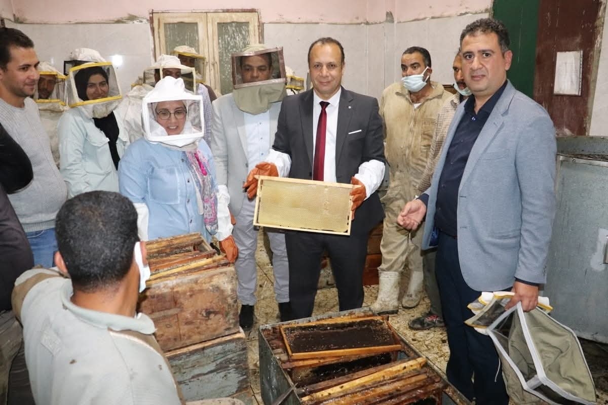 شهدت كليه الزراعة بمشتهر عن فعاليات فرز نحل العسل داخل وحدة انتاج العسل . فرز عسل النحل