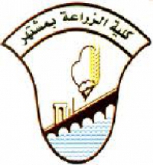 تهنئة بمناسبه بدء العام الدراسى الجديد