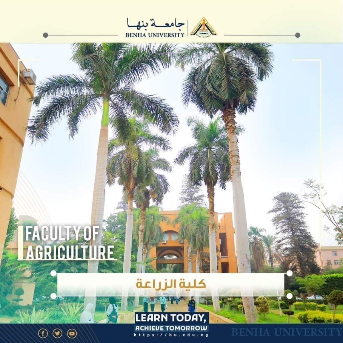 بالأسماء .. القائمة النهائية للسادة المرشحين لعمادة كلية الزراعة بمشتهر بجامعة بنها