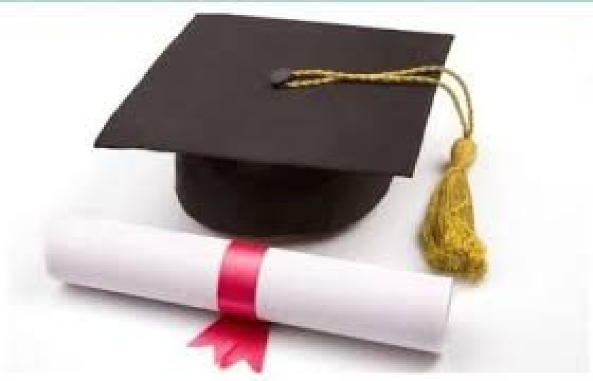 ✨ حفلة تخرج طلاب جامعة بنها ٢٠٢٥